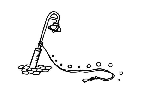 Иллюстрация к книге — О чем пьют ветеринары. Нескучные рассказы о людях, животных и сложной профессии [i_073.jpg]