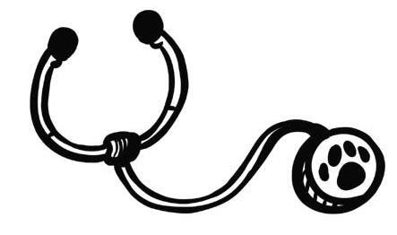 Иллюстрация к книге — О чем пьют ветеринары. Нескучные рассказы о людях, животных и сложной профессии [i_078.jpg]