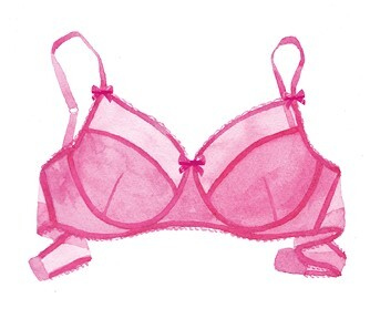 Иллюстрация к книге — Важная деталь. Как выбирать, носить и любить нижнее белье [i_015.jpg]