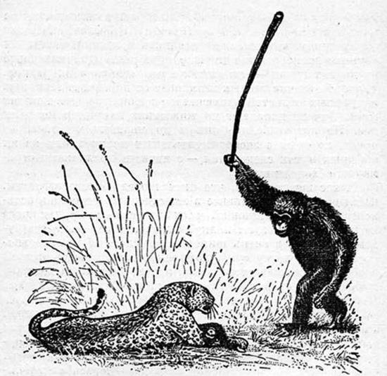 Иллюстрация к книге — Человек покупающий и продающий. Как законы эволюции влияют на психологию потребителя и при чем здесь Люк Скайуокер [i_016.jpg]