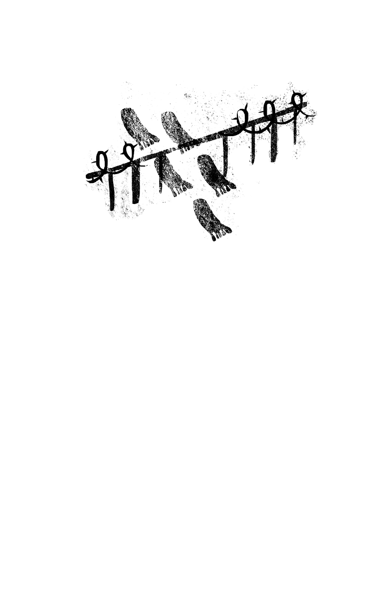 Иллюстрация к книге — Новые Дебри [i_001.jpg]