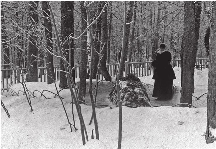 Иллюстрация к книге — Три дочери Льва Толстого [i_125.jpg]