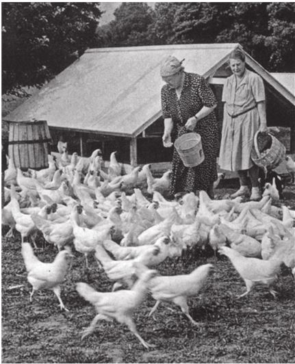 Иллюстрация к книге — Три дочери Льва Толстого [i_181.jpg]