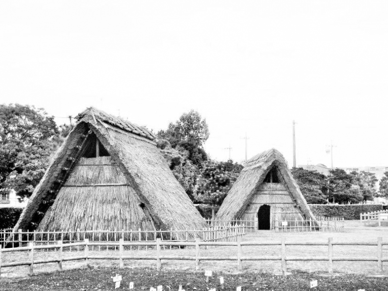 Иллюстрация к книге — Япония. Полная история страны [i_024.jpg]