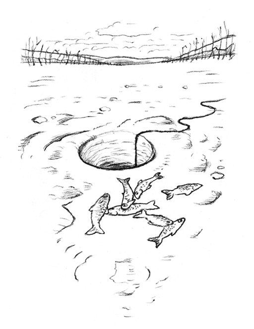 Иллюстрация к книге — Рождественские истории. Волшебная фигурка [i_021.jpg]