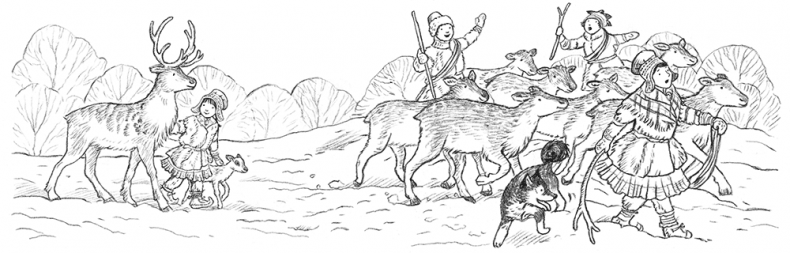 Иллюстрация к книге — Рождественские истории. Волшебная фигурка [i_027.jpg]