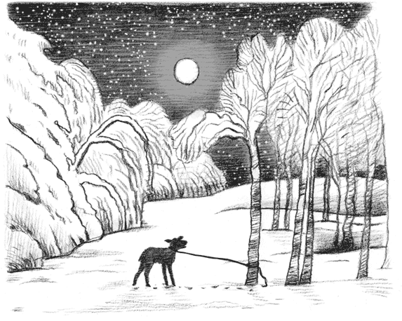 Иллюстрация к книге — Рождественские истории. Волшебная фигурка [i_030.jpg]