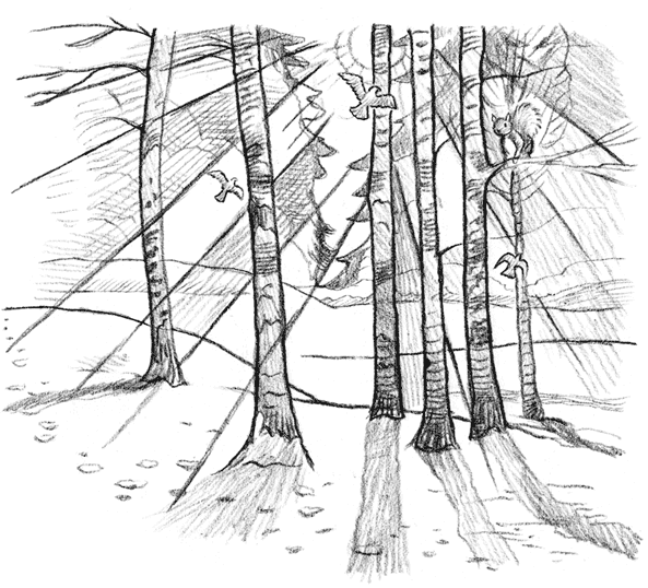 Иллюстрация к книге — Рождественские истории. Волшебная фигурка [i_032.jpg]