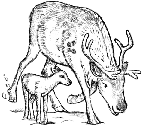 Иллюстрация к книге — Рождественские истории. Волшебная фигурка [i_044.jpg]