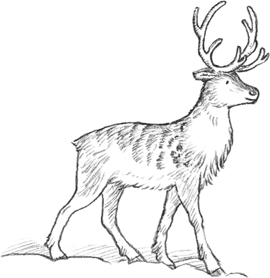 Иллюстрация к книге — Рождественские истории. Волшебная фигурка [i_045.jpg]