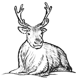 Иллюстрация к книге — Рождественские истории. Волшебная фигурка [i_046.jpg]