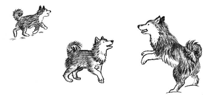 Иллюстрация к книге — Рождественские истории. Волшебная фигурка [i_048.jpg]