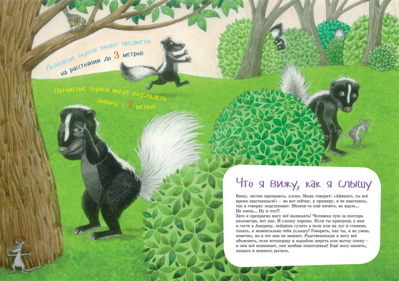 Иллюстрация к книге — Я скунс [i_006.jpg]