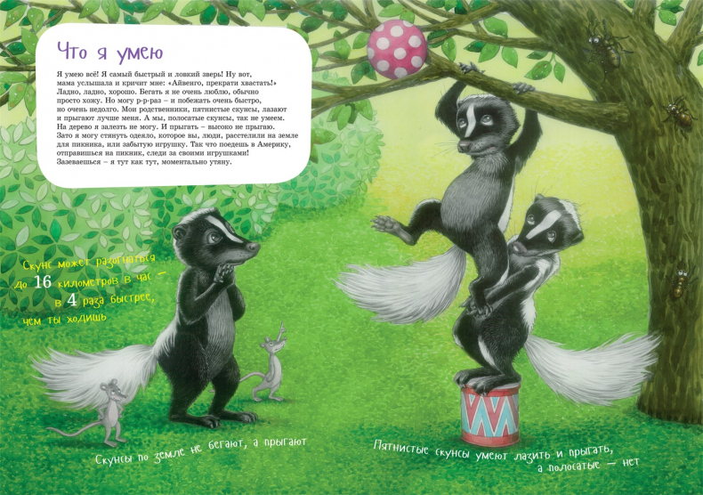 Иллюстрация к книге — Я скунс [i_007.jpg]