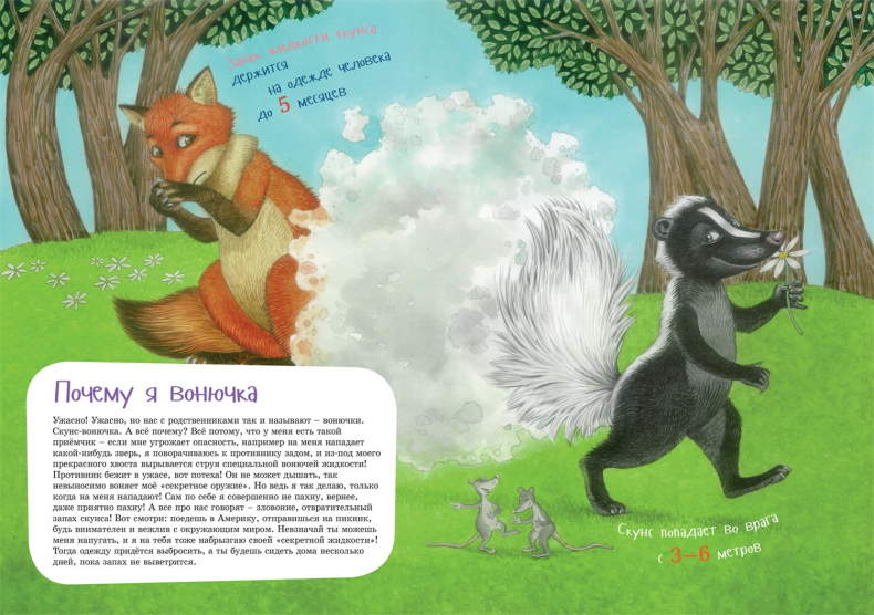 Иллюстрация к книге — Я скунс [i_008.jpg]