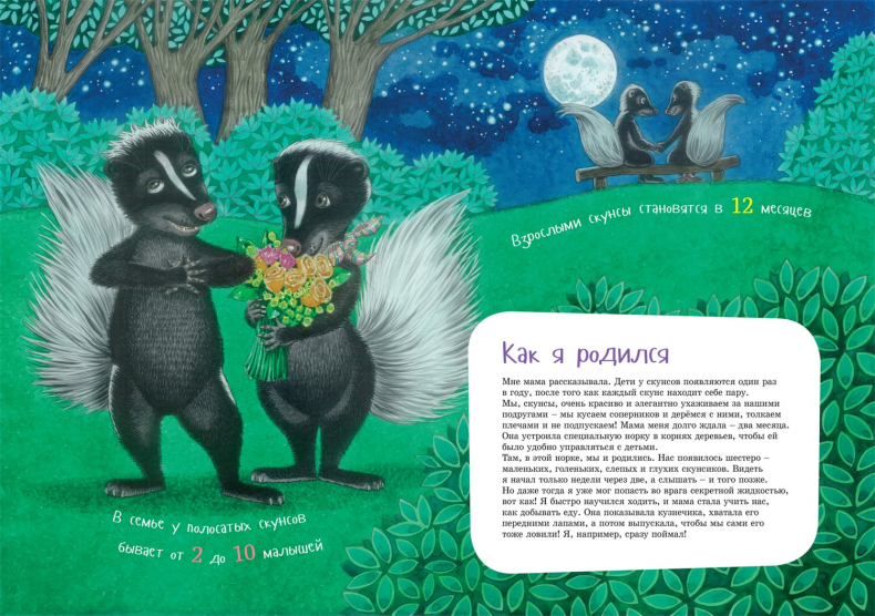 Иллюстрация к книге — Я скунс [i_011.jpg]