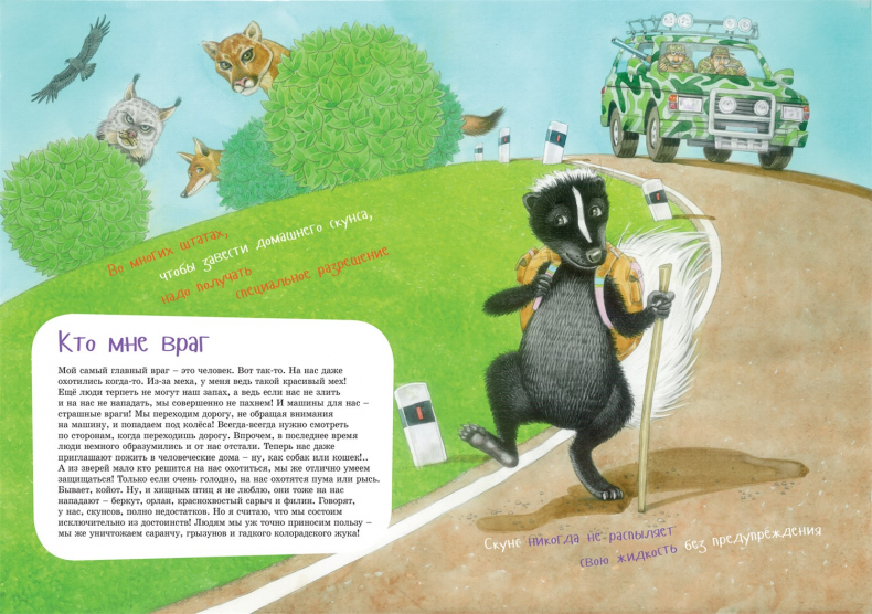 Иллюстрация к книге — Я скунс [i_012.jpg]