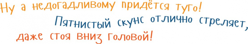 Иллюстрация к книге — Я скунс [i_021.jpg]