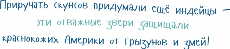 Иллюстрация к книге — Я скунс [i_027.jpg]