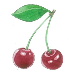 Иллюстрация к книге — Я скунс [i_036.jpg]