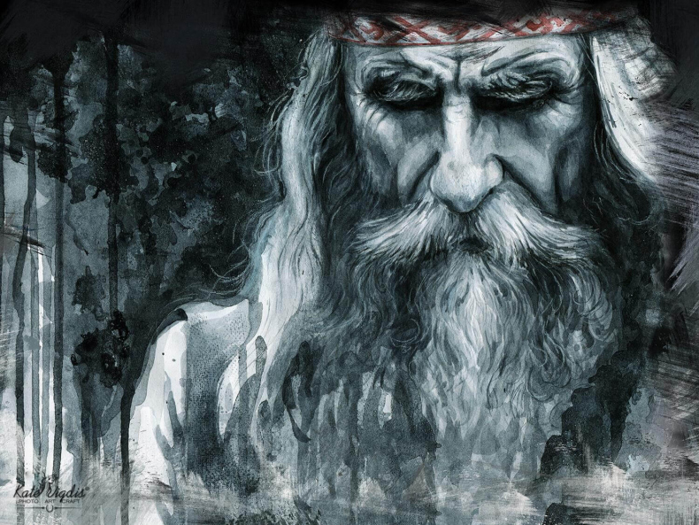 Иллюстрация к книге — Сердце дракона. Том 18. Часть 1 [img-013.jpg]