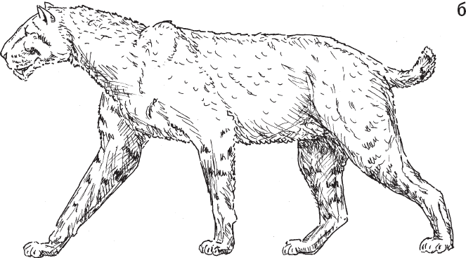 Иллюстрация к книге — Эволюция человека. Книга 3. Кости, гены и культура [i_007.jpg]