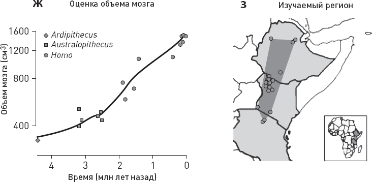 Иллюстрация к книге — Эволюция человека. Книга 3. Кости, гены и культура [i_014.jpg]