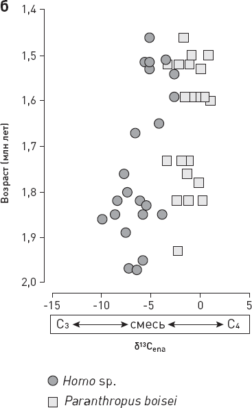 Иллюстрация к книге — Эволюция человека. Книга 3. Кости, гены и культура [i_017.jpg]