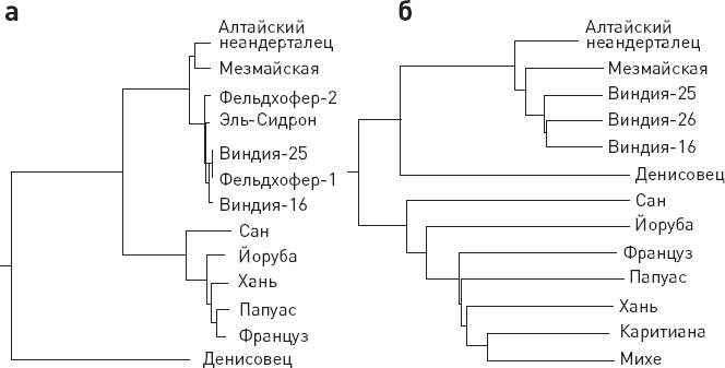 Иллюстрация к книге — Эволюция человека. Книга 3. Кости, гены и культура [i_023.jpg]