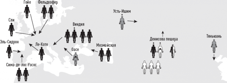 Иллюстрация к книге — Эволюция человека. Книга 3. Кости, гены и культура [i_025.jpg]