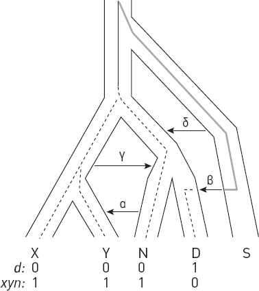 Иллюстрация к книге — Эволюция человека. Книга 3. Кости, гены и культура [i_026.jpg]