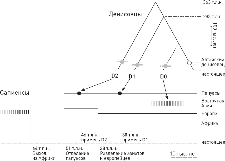 Иллюстрация к книге — Эволюция человека. Книга 3. Кости, гены и культура [i_042.jpg]