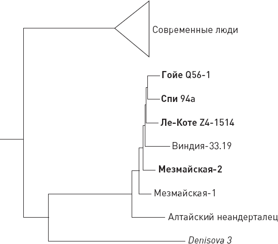 Иллюстрация к книге — Эволюция человека. Книга 3. Кости, гены и культура [i_043.jpg]