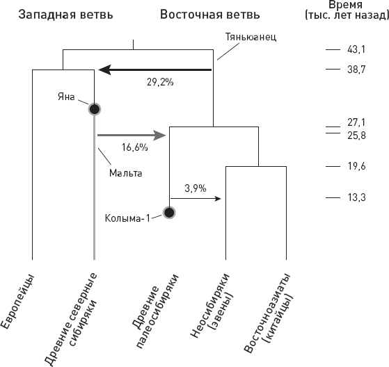 Иллюстрация к книге — Эволюция человека. Книга 3. Кости, гены и культура [i_048.jpg]