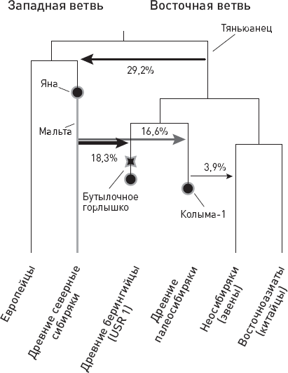 Иллюстрация к книге — Эволюция человека. Книга 3. Кости, гены и культура [i_049.jpg]