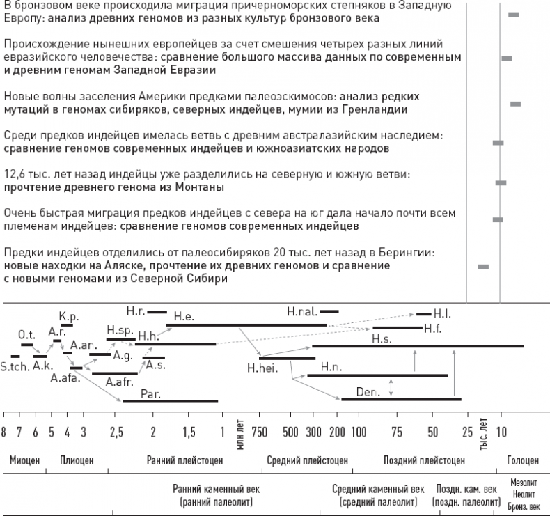 Иллюстрация к книге — Эволюция человека. Книга 3. Кости, гены и культура [i_050.jpg]