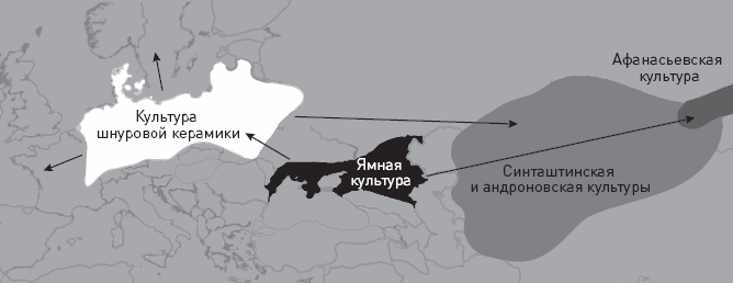 Иллюстрация к книге — Эволюция человека. Книга 3. Кости, гены и культура [i_052.jpg]