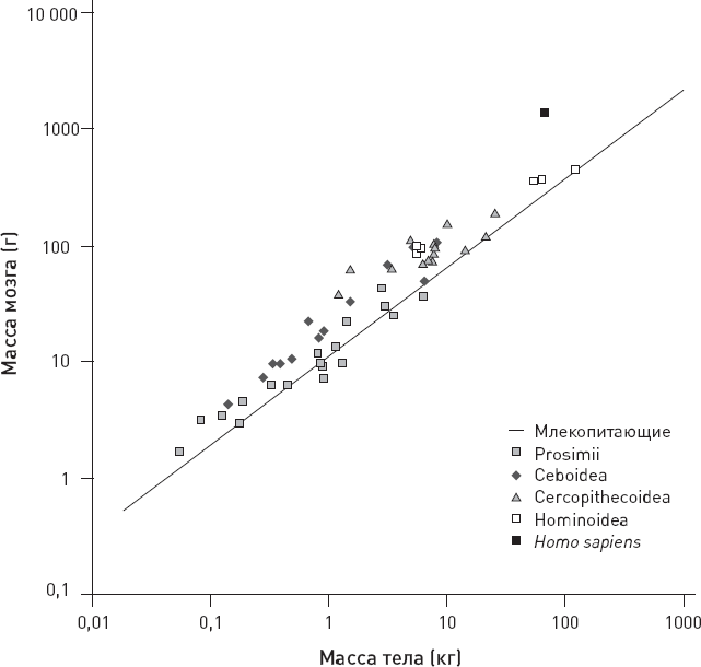 Иллюстрация к книге — Эволюция человека. Книга 3. Кости, гены и культура [i_054.jpg]