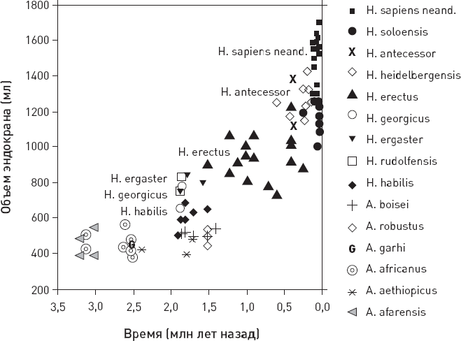 Иллюстрация к книге — Эволюция человека. Книга 3. Кости, гены и культура [i_055.jpg]