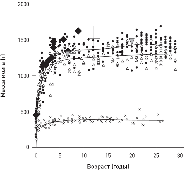 Иллюстрация к книге — Эволюция человека. Книга 3. Кости, гены и культура [i_058.jpg]
