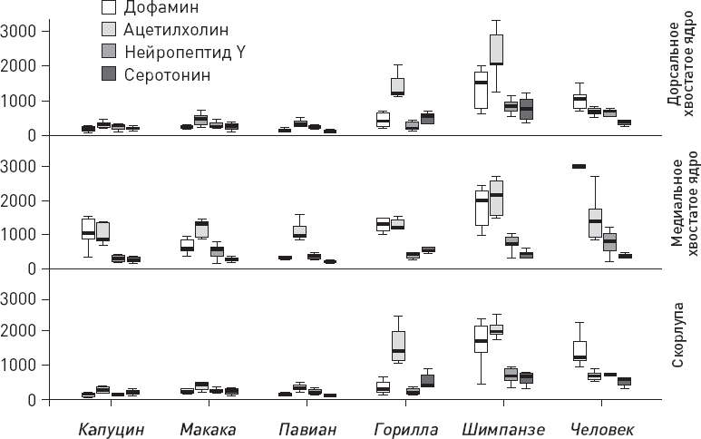 Иллюстрация к книге — Эволюция человека. Книга 3. Кости, гены и культура [i_061.jpg]
