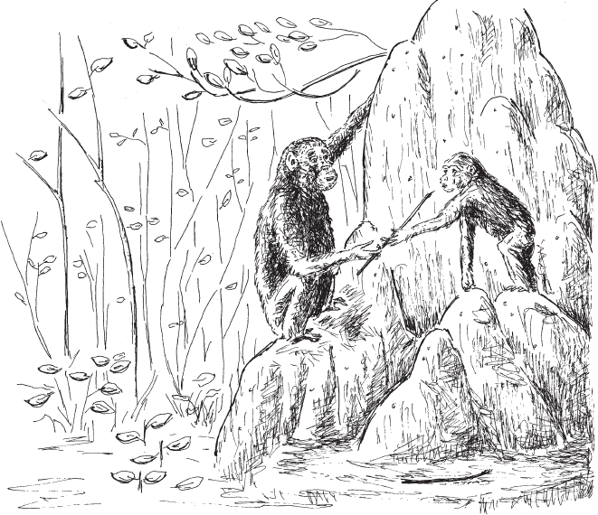 Иллюстрация к книге — Эволюция человека. Книга 3. Кости, гены и культура [i_073.jpg]