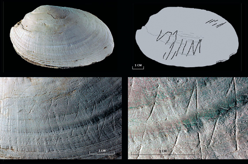 Иллюстрация к книге — Эволюция человека. Книга 3. Кости, гены и культура [i_095.jpg]