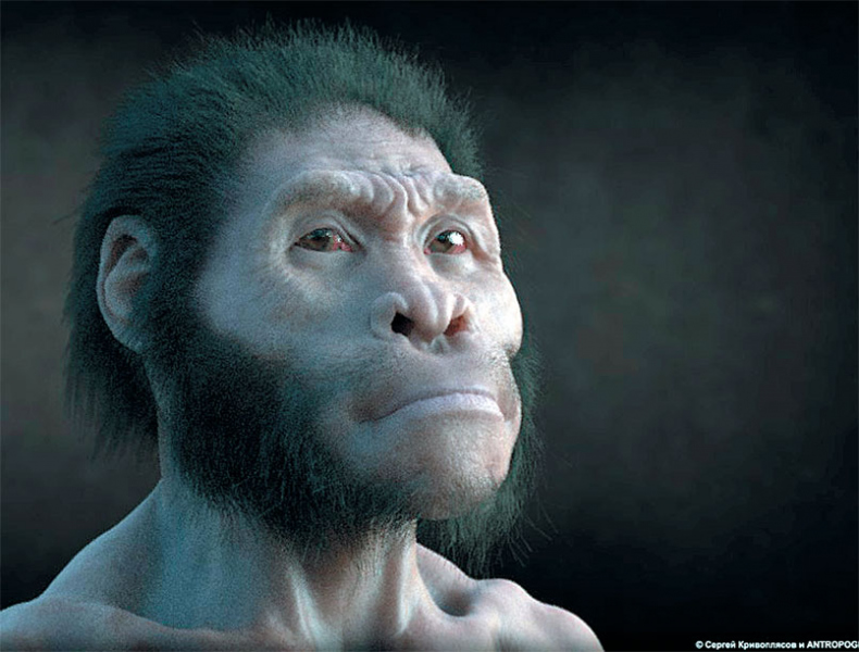Иллюстрация к книге — Эволюция человека. Книга 3. Кости, гены и культура [i_096.jpg]