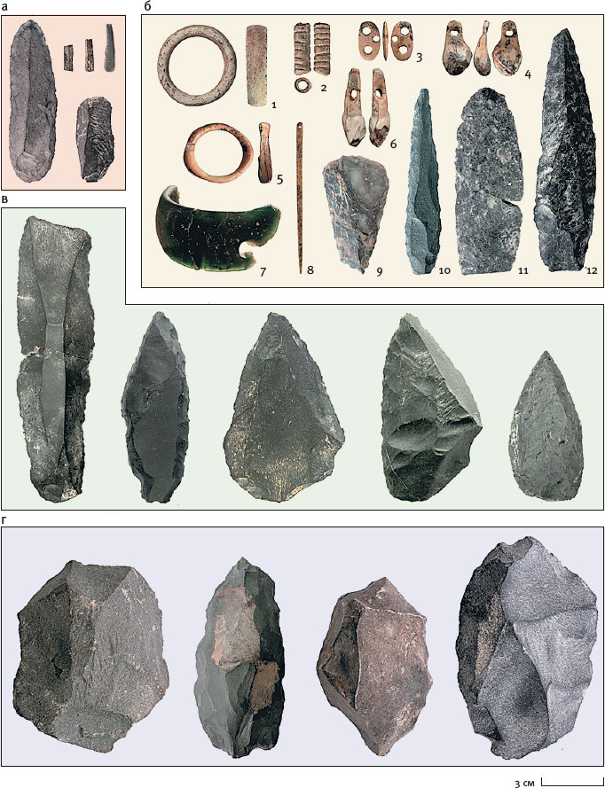 Иллюстрация к книге — Эволюция человека. Книга 3. Кости, гены и культура [i_097.jpg]