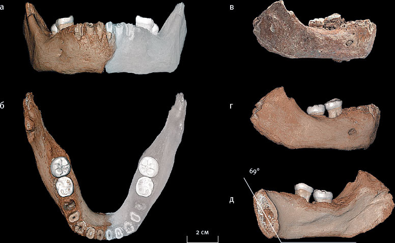 Иллюстрация к книге — Эволюция человека. Книга 3. Кости, гены и культура [i_098.jpg]