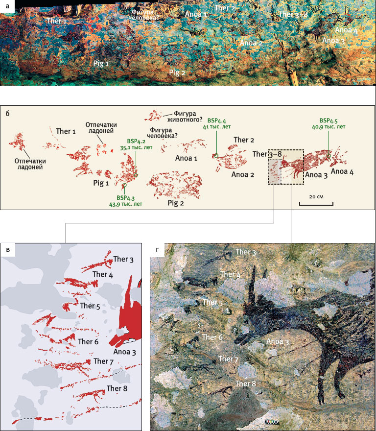 Иллюстрация к книге — Эволюция человека. Книга 3. Кости, гены и культура [i_109.jpg]