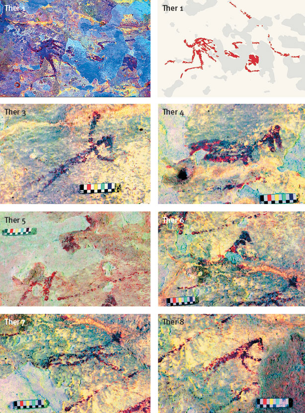 Иллюстрация к книге — Эволюция человека. Книга 3. Кости, гены и культура [i_110.jpg]