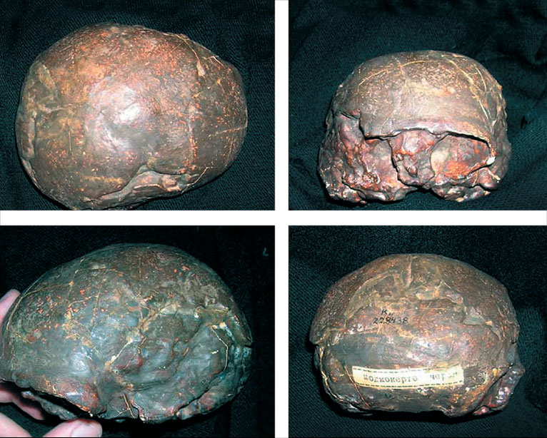 Иллюстрация к книге — Эволюция человека. Книга 3. Кости, гены и культура [i_112.jpg]