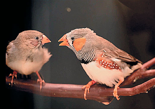 Иллюстрация к книге — Эволюция человека. Книга 3. Кости, гены и культура [i_115.jpg]